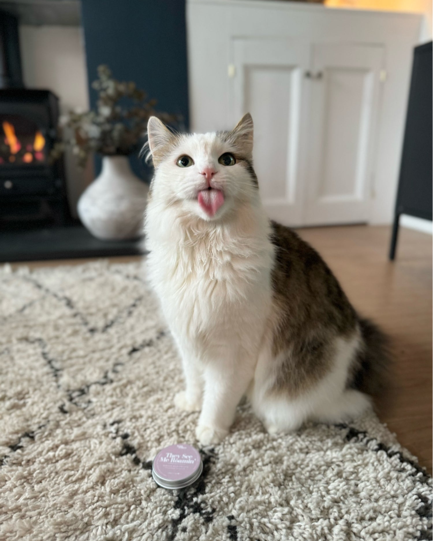 Cat Spa
