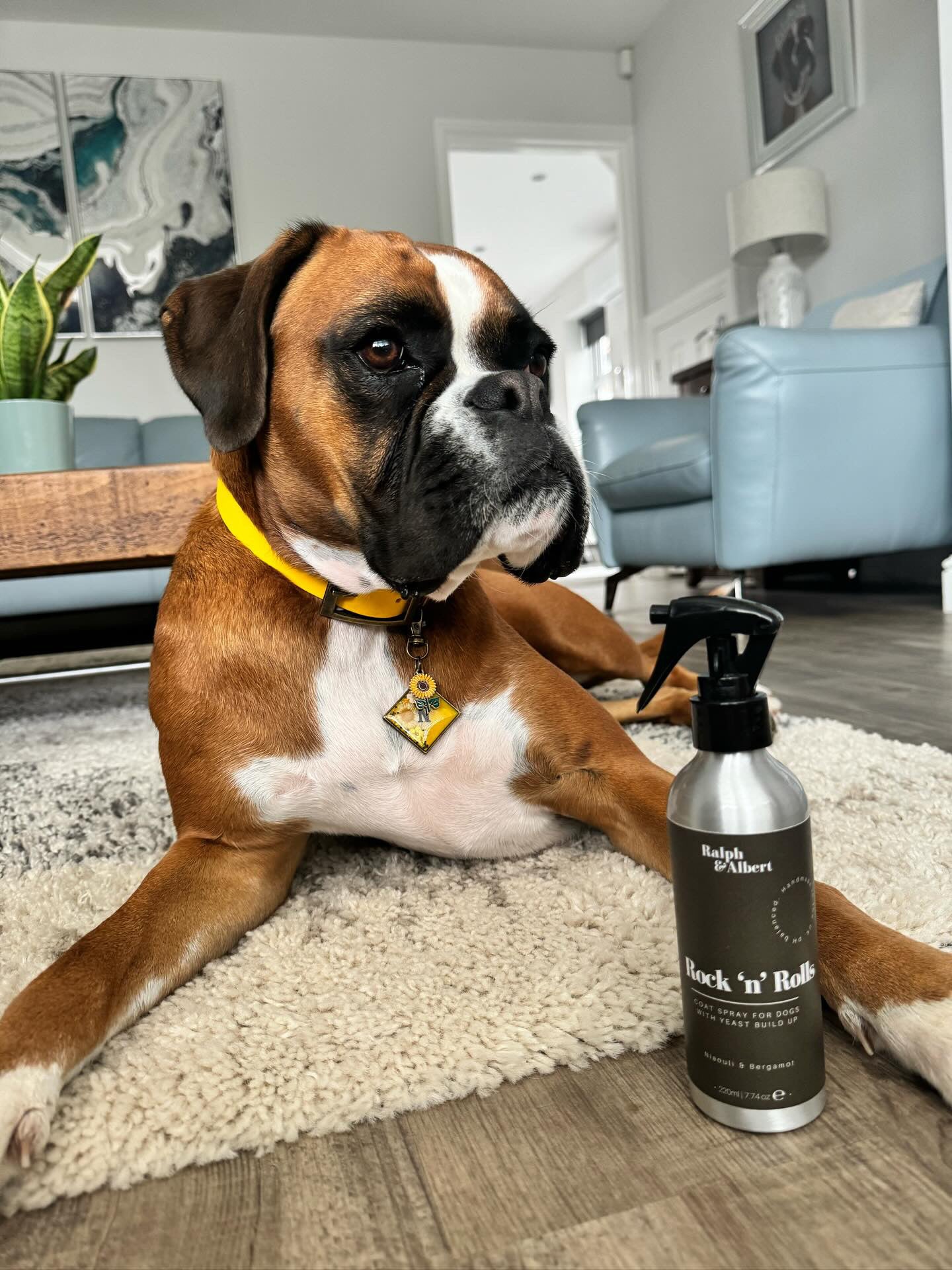 Rock ‘n’ Rolls Yeast Hating Coat Spray 220ml