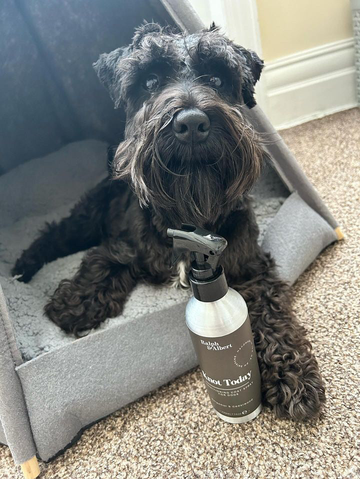 Knot Today Conditioning Coat Spray 220ml