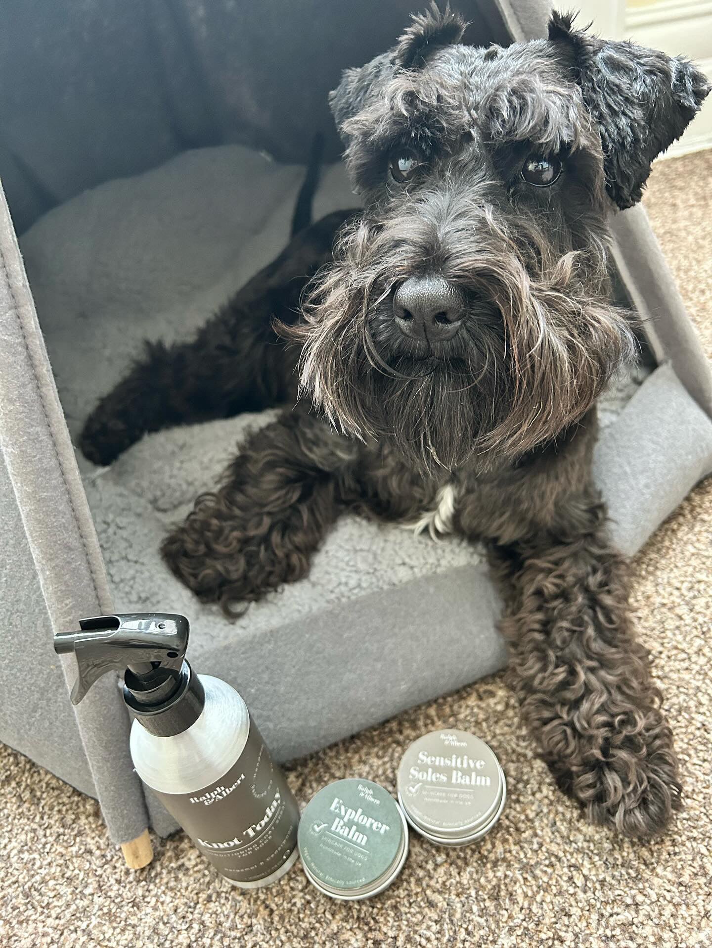 The Lookin' Cute Care bundle