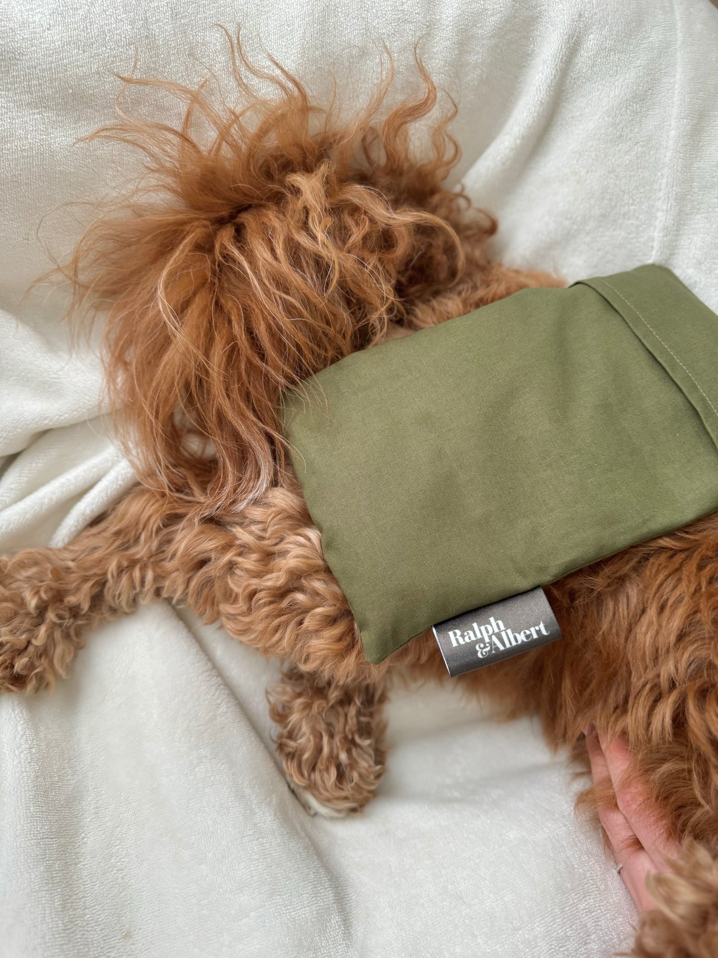 Wheat Me Up! Wheat Bag for Dogs & Cats